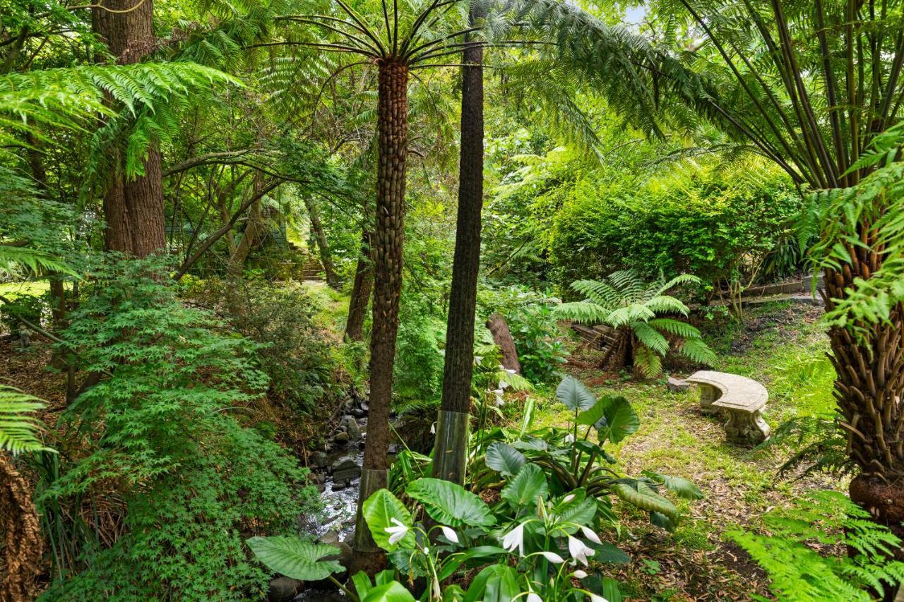 Paddys Creek Retreat Villa Upwey Exterior photo